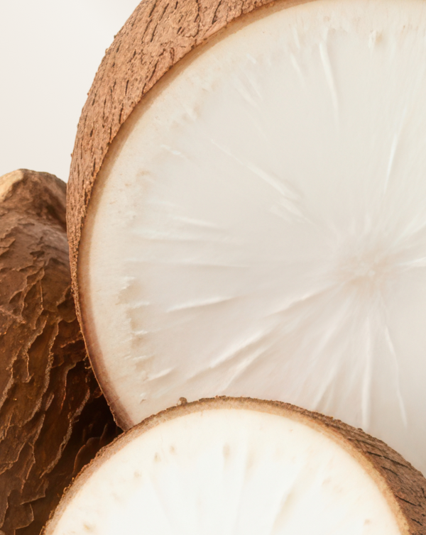 Tapioca Fiber